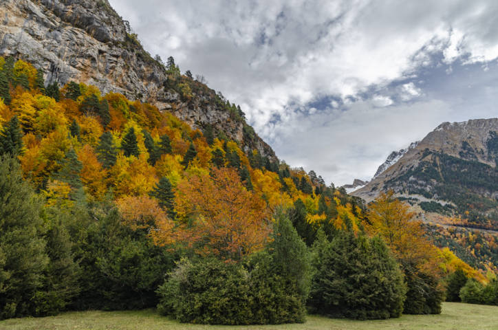 Huesca - valle de Bujaruelo 42.jpg